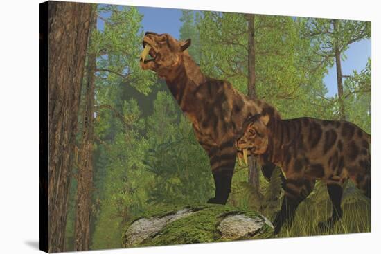 Two Saber-Toothed Cats Search for Prey in a Pine Forest-null-Stretched Canvas