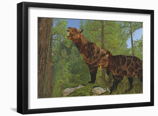 Two Saber-Toothed Cats Search for Prey in a Pine Forest-null-Framed Art Print