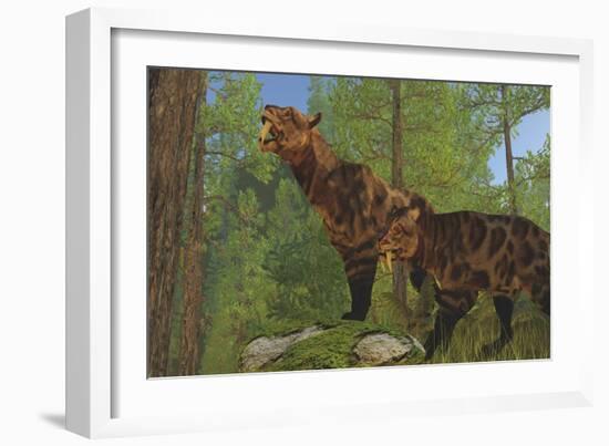 Two Saber-Toothed Cats Search for Prey in a Pine Forest-null-Framed Art Print