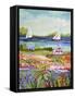 Two Sailboats and Cottage I-Karen Fields-Framed Stretched Canvas