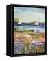 Two Sailboats and Cottage I-Karen Fields-Framed Stretched Canvas