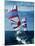 Two Sailing Boats, Puget Sound, Washington-Stuart Westmorland-Mounted Premium Photographic Print