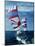 Two Sailing Boats, Puget Sound, Washington-Stuart Westmorland-Mounted Photographic Print