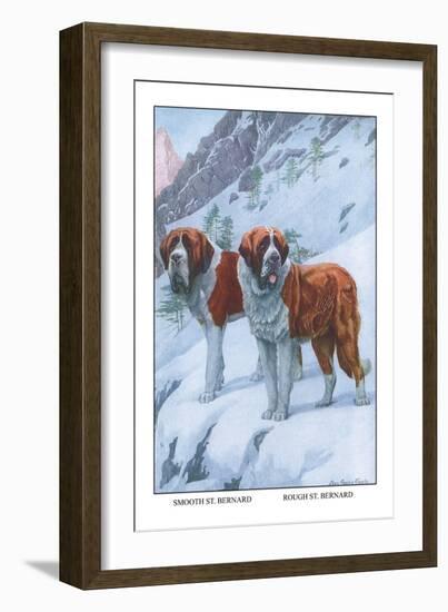 Two Saint Bernards-Louis Agassiz Fuertes-Framed Art Print