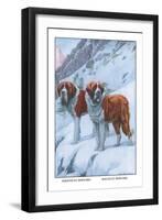 Two Saint Bernards-Louis Agassiz Fuertes-Framed Art Print