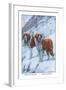 Two Saint Bernards-Louis Agassiz Fuertes-Framed Art Print