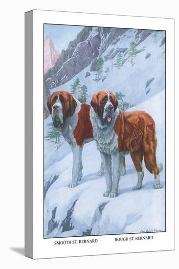 Two Saint Bernards-Louis Agassiz Fuertes-Stretched Canvas