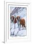 Two Saint Bernards-Louis Agassiz Fuertes-Framed Art Print