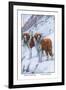 Two Saint Bernards-Louis Agassiz Fuertes-Framed Art Print