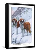 Two Saint Bernards-Louis Agassiz Fuertes-Framed Stretched Canvas