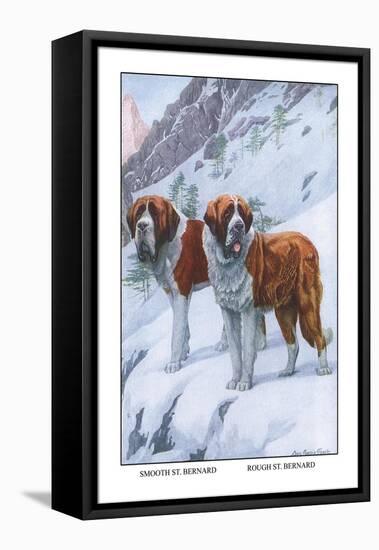 Two Saint Bernards-Louis Agassiz Fuertes-Framed Stretched Canvas