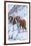 Two Saint Bernards-Louis Agassiz Fuertes-Framed Art Print