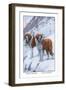 Two Saint Bernards-Louis Agassiz Fuertes-Framed Art Print