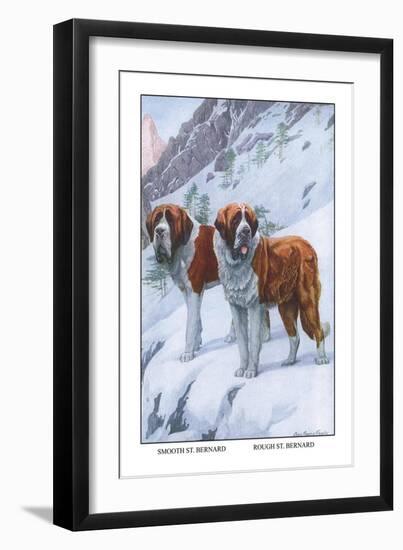 Two Saint Bernards-Louis Agassiz Fuertes-Framed Art Print