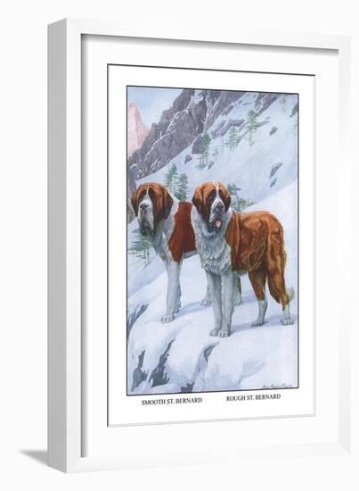 Two Saint Bernards-Louis Agassiz Fuertes-Framed Art Print