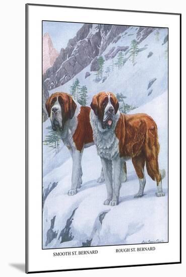 Two Saint Bernards-Louis Agassiz Fuertes-Mounted Art Print