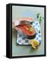 Two Salmon Cutlets-Matthias Hoffmann-Framed Stretched Canvas