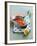 Two Salmon Cutlets-Matthias Hoffmann-Framed Photographic Print