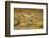 Two Sandhill Cranes in Flight-Darrell Gulin-Framed Photographic Print