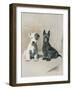 Two Scamps-null-Framed Art Print