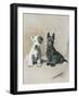 Two Scamps-null-Framed Art Print