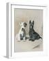 Two Scamps-null-Framed Art Print