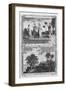 Two Scenes from the Pacific Islands, C1780S-Page-Framed Giclee Print