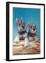 Two Schnauzer Puppies-null-Framed Art Print