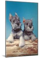 Two Schnauzer Puppies-null-Mounted Art Print