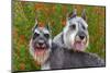 Two Schnauzers in the Garden-Zandria Muench Beraldo-Mounted Photographic Print