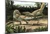 Two Sciurumimus Albersdoerferi Fighting for the Carcass of a Lizard-null-Mounted Art Print