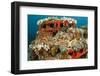 Two Scorpionfish (Scorpaena Porcus) Lying on Artificial Reef, Larvotto Marine Reserve, Monaco-Banfi-Framed Photographic Print