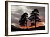 Two Scots Pine Trees (Pinus Sylvestris) Silhouetted at Sunset, Glen Affric, Scotland, UK-Peter Cairns-Framed Photographic Print