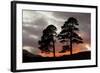 Two Scots Pine Trees (Pinus Sylvestris) Silhouetted at Sunset, Glen Affric, Scotland, UK-Peter Cairns-Framed Photographic Print