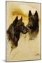 Two Scottish Terriers (Oil on Canvas)-Arthur Wardle-Mounted Giclee Print
