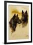 Two Scottish Terriers (Oil on Canvas)-Arthur Wardle-Framed Giclee Print