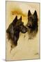 Two Scottish Terriers (Oil on Canvas)-Arthur Wardle-Mounted Giclee Print