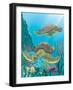 Two Sea Turtles Swimming Underwater-Milovelen-Framed Art Print