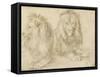 Two Seated Lions, 1521-Albrecht Dürer-Framed Stretched Canvas