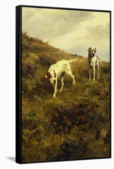 Two Setters Pointing at Quail-Percival L. Rosseau-Framed Stretched Canvas