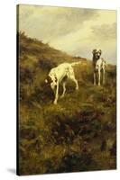 Two Setters Pointing at Quail-Percival L. Rosseau-Stretched Canvas