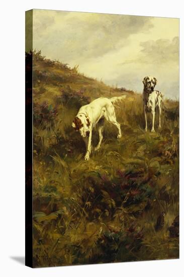 Two Setters Pointing at Quail-Percival L. Rosseau-Stretched Canvas