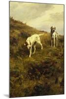 Two Setters Pointing at Quail-Percival L. Rosseau-Mounted Giclee Print