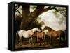 Two Shafto Mares and a Foal, 1774-George Stubbs-Framed Stretched Canvas
