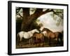 Two Shafto Mares and a Foal, 1774-George Stubbs-Framed Giclee Print