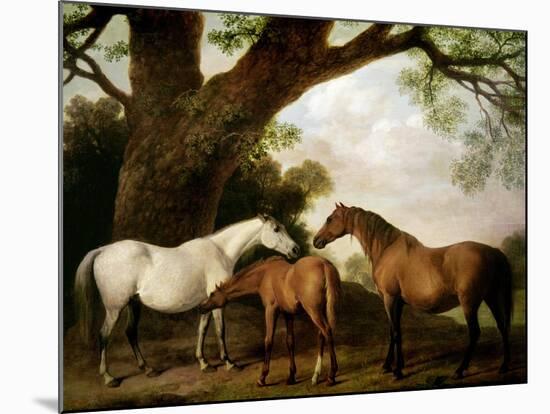 Two Shafto Mares and a Foal, 1774-George Stubbs-Mounted Giclee Print