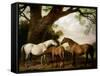 Two Shafto Mares and a Foal, 1774-George Stubbs-Framed Stretched Canvas