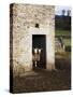 Two Sheep in a Field Barn Near Aysgarth, Yorkshire Dales, England, United Kingdom, Europe-Mark Sunderland-Stretched Canvas