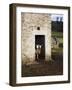 Two Sheep in a Field Barn Near Aysgarth, Yorkshire Dales, England, United Kingdom, Europe-Mark Sunderland-Framed Photographic Print