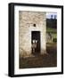 Two Sheep in a Field Barn Near Aysgarth, Yorkshire Dales, England, United Kingdom, Europe-Mark Sunderland-Framed Photographic Print